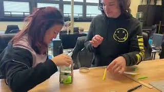Egg Drop Challenge