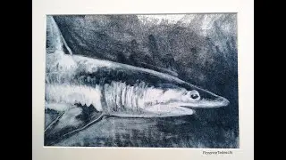 Monotype Requin N&deg;2 - Florence Tedeschi