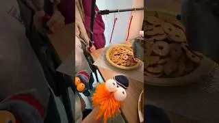 New friends or how to eat on camera! #hedgehogborya
