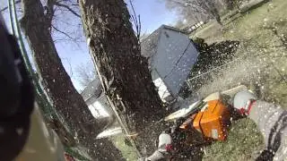 Maple2