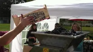 Harvest Crush at Zoll Cellars HD
