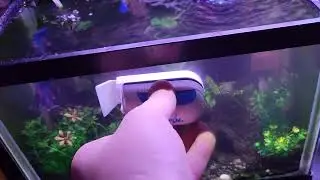 Top fin floating magnetic aquarium cleaner (small)