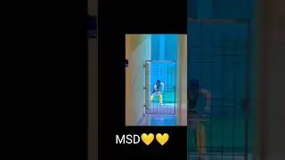 Ms Dhoni has started his preparation for IPL 2024