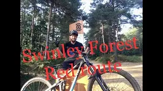Swinley Forest MTB Red Route Review