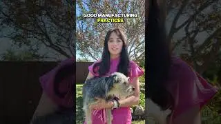Top 5 Things to Look for in a Dog Supplement: A Veterinarian&rsquo;s Honest Review of Dog is Humam