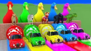 Long Slide Game With Cow Elephant Gorilla Hippopotamus Tiger - 3d Animal Game - Funny 3d Animals