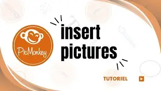 How to insert pictures in picmonkey