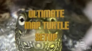 ULTIMATE MAP TURTLE SET UP