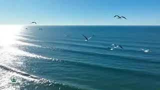 Beautiful Landscapes for Sleep & Meditation