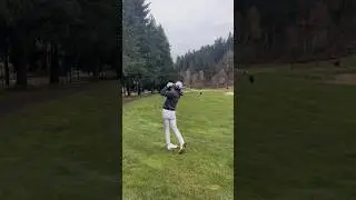 flip wedge #golf #golfswing #explore #golfer