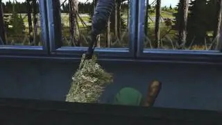 DayZ auf BlueWaffleAttackForce Im Prison am Campen