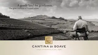 Cantina di Soave - Business Presentation 2014 - Top 10 Aziende Vinicole Italiane ( Italian )