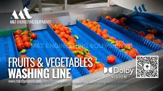 Fruits & Vegetables Washing Line, Bubble & Continuous Washer for Fruits & Vegetables.
