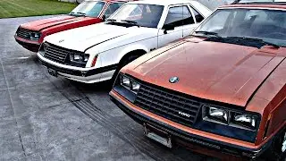 1979 Mustangs delivery and preview