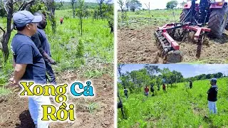 Đông Paulo || Năm Nay Chắc Phải Vài Tấn Lương Thực, Cuối Cùng Đã Hoàn Thành Xong