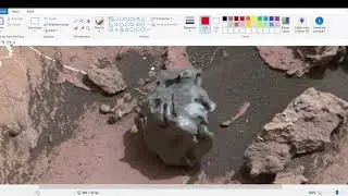 Mars Government