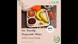 Biodegradable Disposable Plate | Eco-Friendly Partyware | Sugarcane Bagasse | Plastic-Free | Upciclo