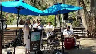 2019 Sawdust Festival in Laguna