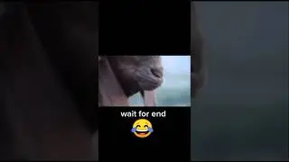 Bakra 🐏 Eid Funny Video 🤣 || Bakra Eid Comedy #bakraeidfunnyvideos #bakraeidcomedy #shorts #comedy