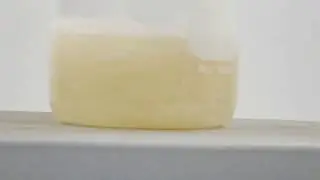DIY Labware Cleaner | HausLab