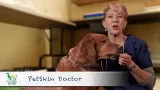 Pet Skin Doctor &ndash; Natural Products Overview