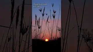 daily question #dailyquestion #question