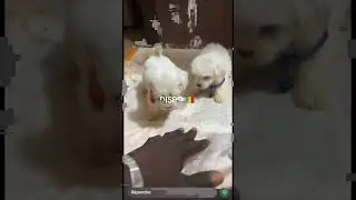 00223 76038528