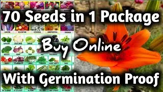 Unboxing 70 types of seeds| Winter Vegetable Seeds | Winter Flower Seeds | Seeds to Grow in Winter