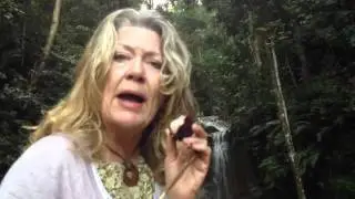 Eat Seeds and Flesh of Pulasan