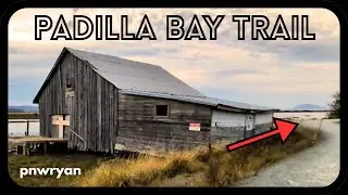 Discover the HIDDEN CHARM of PNW Marshland on a Relaxing WALK