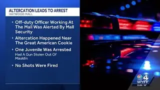 Juvenile arrested at Upstate Mall for a stolen gun, police say