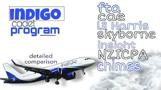 Indigo cadet pilot program detailed comparison between all 7 organisation