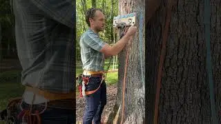 Очистка верхней точки крепления с помощью быстросъемных оттяжек #скалолазание #скалолазание #муль...