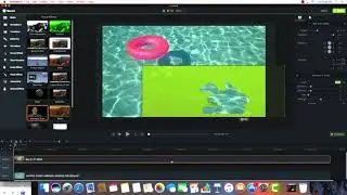 Fill animal with text tutorial! Camtasia|| Aesthetic Tutorials