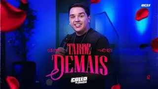 Collo de Menina - Tarde Demais (Pra Se Apaixonar)