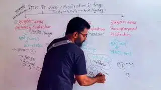 Respiration in Frog in Hindi | Anatomy of Frog  Class 11 Biology in Hindi | Aliscience