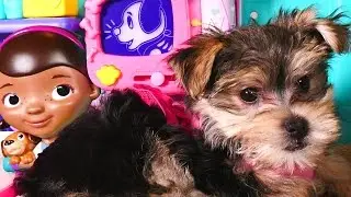 Zumi visits Doc McStuffins HUGE Check-up Center - Disney Toy Veterinarian Station for Pets