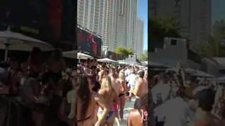 Steve Aoki pool party. MGM Grand.