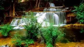 Relax music 