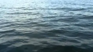 MOV00581]
