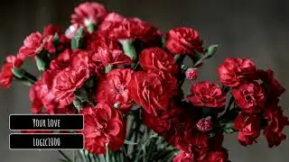 Logic1000 - Your Love