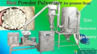 Rice Powder Pulverizer Machine for grinding rices into flour┃protein ACM grinder mill