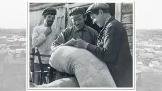 Депортания немцев 1941 год