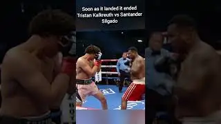 Soon as it landed, it ended: Tristan Kalkreuth vs Santanda Silgado #boxing #mma #combatsport