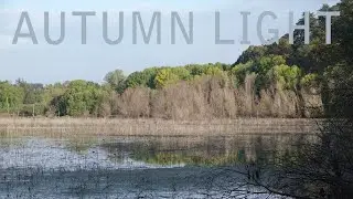 Oaks Bottom Soundwalk