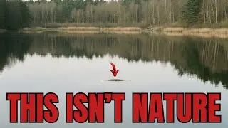 10 Animal Situations Humans Should Never Ignore