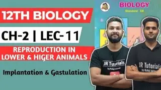 12th Biology |Chapter 2 | Reproduction in Lower & Higher Animals | Lec 11|Implantation & Gastulation