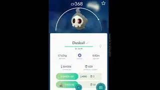 High iv Duskull and shuppet evolutions.