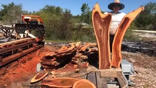 Red Camphor on the Norwood lm30 sawmill