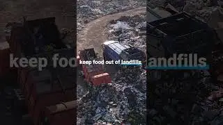 Пищевые отходы способствуют изменению климата